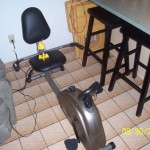 Recumbent Bike