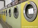 Lose Weight, Gain Dirty Laundry
