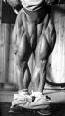 Tom Platz: The Lumberjack of Quadriceps