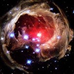 Physical Law of Attraction and Dieting